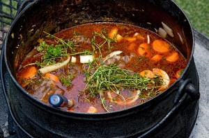 Beef and pumpkin stew