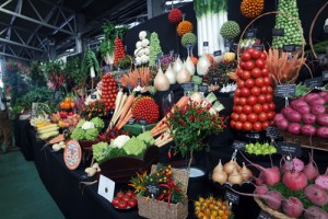 Giant Veg Facts Malvern Autumn Show