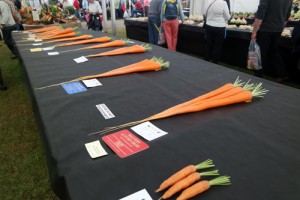 Giant Veg Facts Malvern Autumn Show